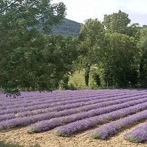 L'etable Séjour chez l'habitant La Coucourde